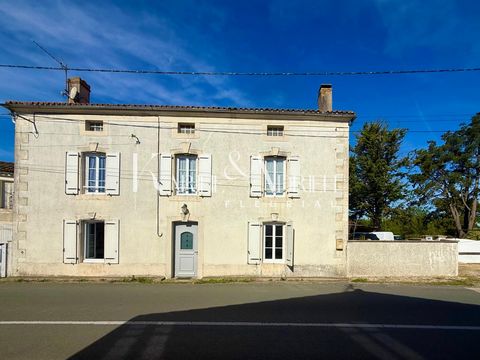 photo no. 16