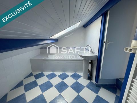 photo no. 11