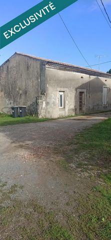 photo no. 2