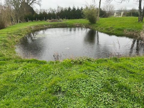 photo no. 6