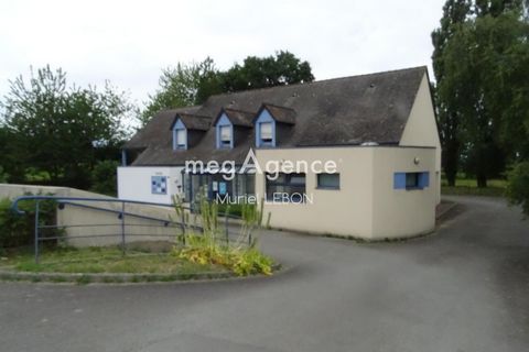 photo no. 12