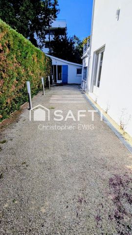 photo no. 11