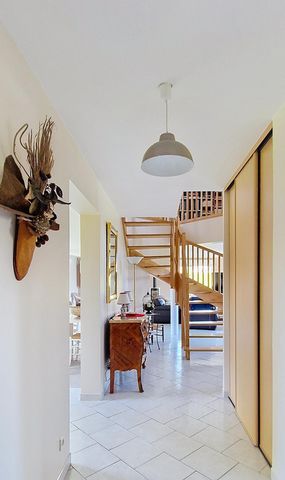 photo no. 12