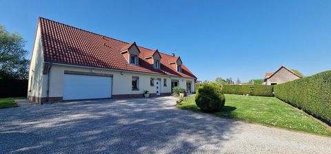 photo no. 14