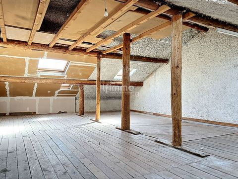 photo no. 14