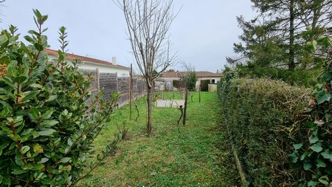 photo no. 12