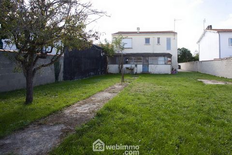 photo no. 12