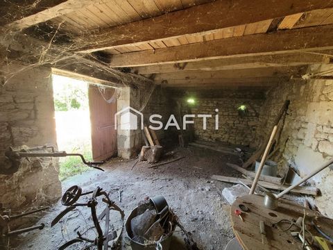 photo no. 16