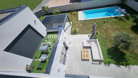 photo no. 10