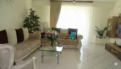 photo no. 9