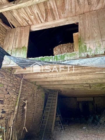 photo no. 6