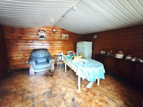 photo no. 5