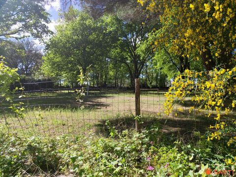 photo no. 13