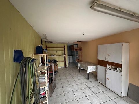 photo no. 10