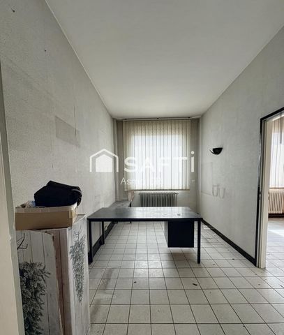 photo no. 12