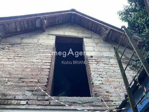 photo no. 4