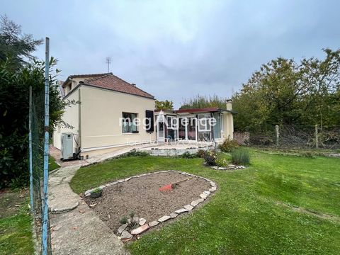 photo no. 9