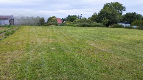 photo no. 14