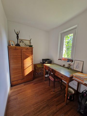 photo no. 6