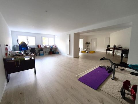 photo no. 17