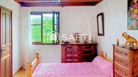 photo no. 6