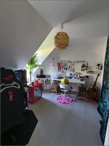 photo no. 10