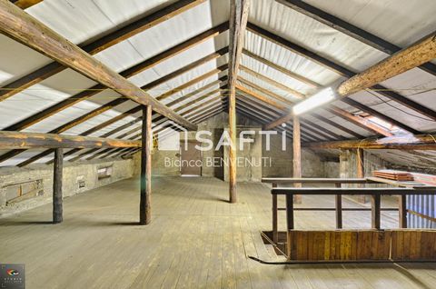 photo no. 7