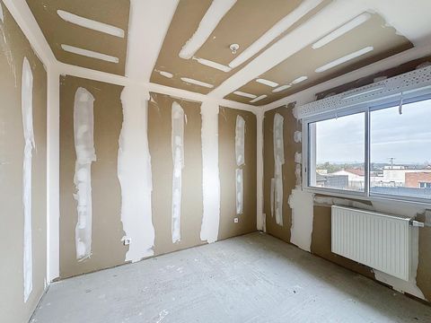 photo no. 11