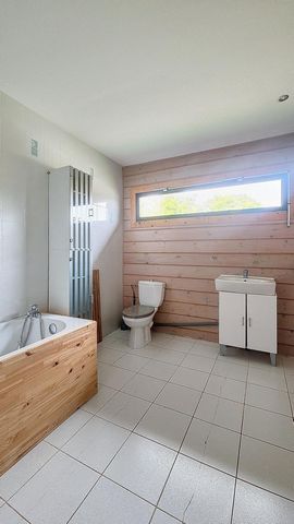 photo no. 12