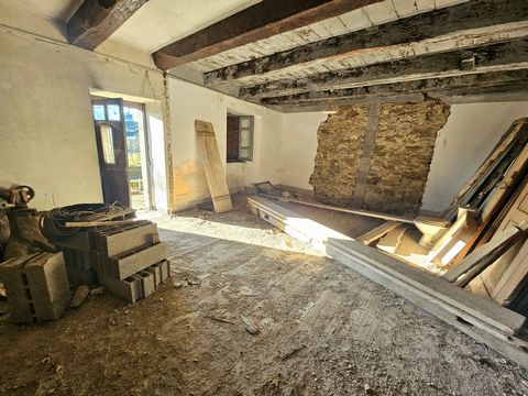photo no. 10
