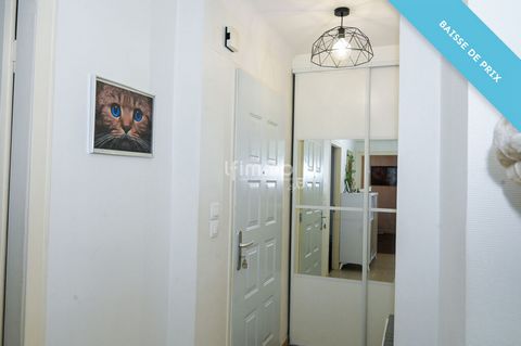 photo no. 8