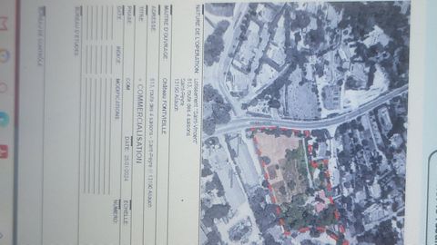photo no. 2