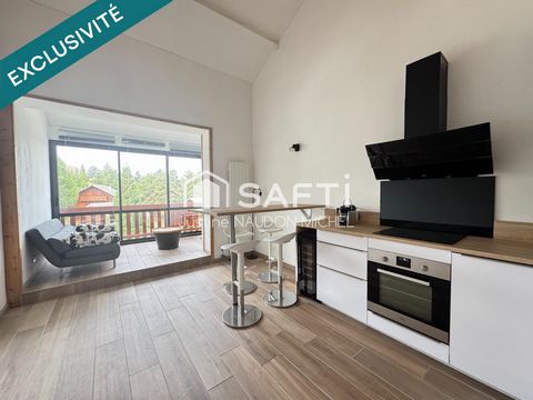 Bel appartement proche des pistes