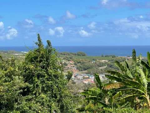 Dpt Martinique (972), à vendre LE MARIGOT terrain de 653 m avec vue mer