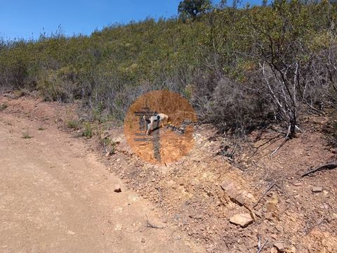 Rustikales Grundstück, mit 10.160 m2, in der Nähe von Corte do Gago, in Castro Marim - Algarve. Land hat hervorragende Sonneneinstrahlung, mit einigen Bäumen. Ruhige und friedliche Lage, mit einem ausgezeichneten ungehinderten Blick auf die Algarve-H...