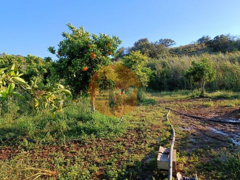 Rustic land with 4,880 m2 near Rio Seco, in Castro Marim - Algarve. Land with vegetable garden, fruit trees in production. Vegetable garden in production. Irrigation water and irrigation system on the ground. Orange trees, loquat trees, lemon trees a...