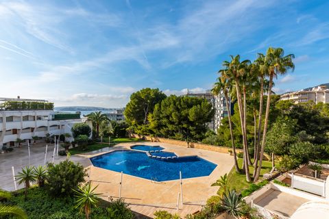This beautiful, refurbished luxury apartment is located in the heart of Portals Nous, offering stunning sea views from its spacious terrace. The apartment has 3 bedrooms and 2 bathrooms, providing plenty of space for families or groups of friends. Th...