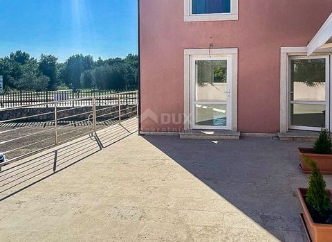 Location: Istarska županija, Novigrad, Novigrad. ISTRIA, NOVIGRAD - Business space in an attractive location Just a few minutes' drive from the center of Novigrad is this spacious business space! The office space is located on the ground floor of a s...