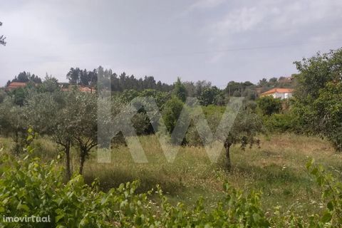 I invite you to visit this urbanizable land, located in Entrevinhas, Sardoal. The village of Entrevinhas is one of the oldest villages in the municipality of Sardoal, located about 3 km from the village of Sardoal (county seat) and belonging to the d...