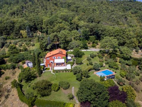 This luxury villa for sale in the beautiful Florentine countryside offers a dominant position surrounded by a lush 6-hectare park. Originally a 13th-century watchtower, the property is only 15 km from the centre of Florence. The villa consists of a w...