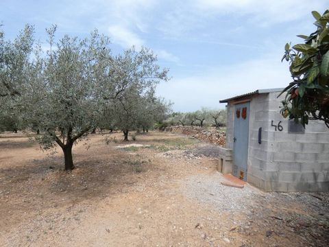 Total surface area 5120 m², rural property plot area 5120 m².