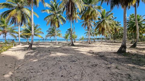 20 kavels te koop om te bouwen, zeer dicht bij het strand. Volledig afgesloten en veilig. Asfaltwegen naar de ingang. Privé en rustig gelegen. Deze gemeenschap ligt direct aan het strand. Alle kavels hebben toegang tot het strand. Bouwprijzen rond de...