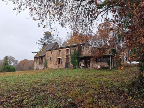 EXCLUSIVITEIT: Deze te restaureren oude boerderij is gelegen in de Périgord Noir op het kruispunt van de drie departementen Dordogne, Lot-et-Garonne en Lot. Het biedt een inkomhal die leidt naar een keuken, eetkamer, kantoor, woonkamer, doucheruimte ...