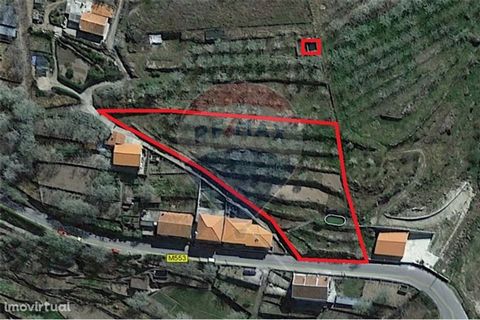 Urbanizable land next to the road with 3950m² with several fruit trees and mine water.