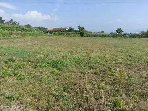 Rustic land with 2,620 m2 in Celorico de Basto Rustic land, with an area of 2,620 m2, completely flat. It has excellent sun exposure, tank and water of consorts. Buy with ERA Fafe ERA Fafe opened its doors in 2005 and built an upward path that is now...