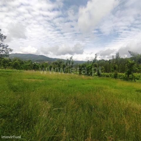 Rustic land with 2.280 m2 in Celorico de Basto Rustic land with total area of 2,280 m2, flat, good paved access 10 meters from the entrance of the land. It enjoys an excellent sun exposure, has spring water and 3 water reservoirs (puddles). Framed in...