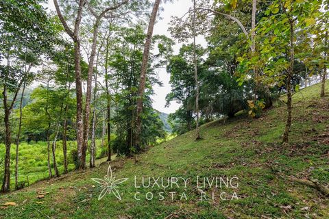 Pinuela Land If you are looking for a place to build your dream home with ocean views and surrounded by nature, this property is for you. It is a beautiful land of more than 26 thousand square meters located in Piñuela Arriba, between Uvita and Ojoch...