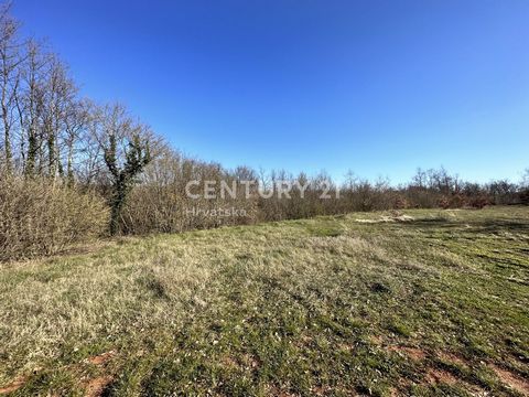CENTRAL ISTRIA, ŽMINJ, BUILDING LAND SURROUNDED BY NATURE In a small village 4 km from Žminj, we are selling a building plot of 1108 m2. Price: 50 EUR/M2 The land is flat. Asphalted access. The water is 30 m away. Electricity on the land. It is also ...