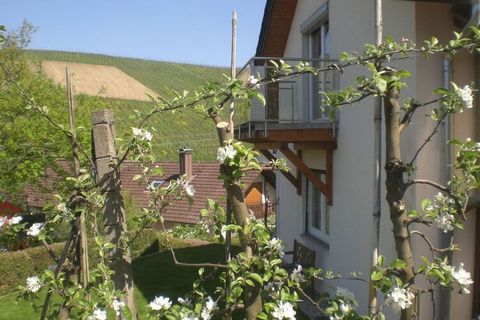 Our holiday home in the Baden-Baden Rebland is located in a quiet, preferred residential area, with a view of the Rhine plain and the Vosges. The ground floor consists of an entrance hall, guest toilet, living room, kitchen, dining area and patio. A ...