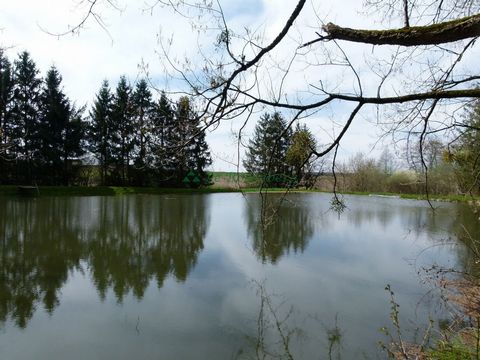 A Moernach, facile d'accès, étang avec chalet sur 1,5Ha. Grand étang et carpière, terrain en partie clôturé. Uniquement pour loisir et weekend. Ni eau courante, ni électricité. Contact ...